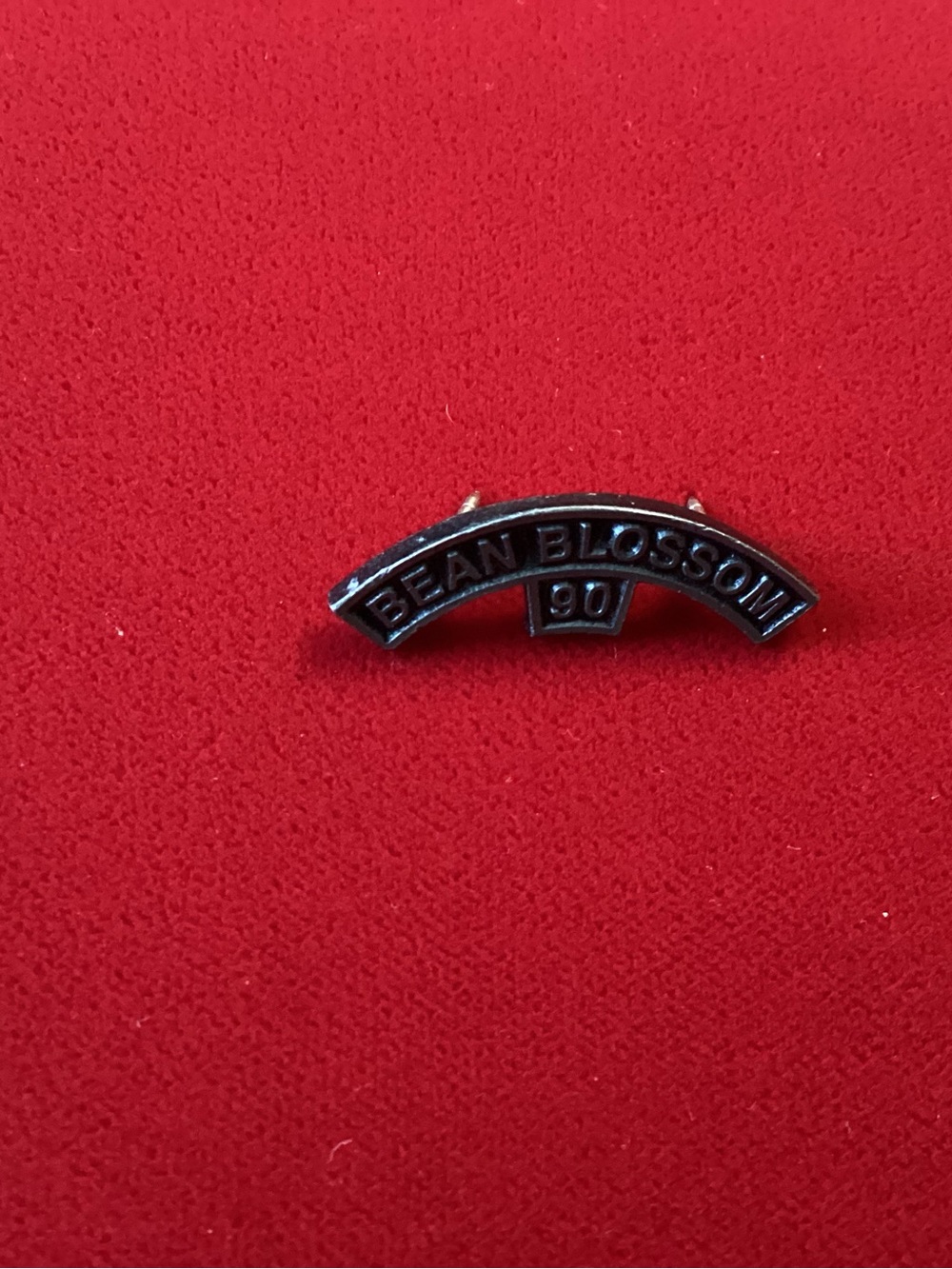 Harley-Davidson Vintage Black Bean Blossom 90 Metal Pin